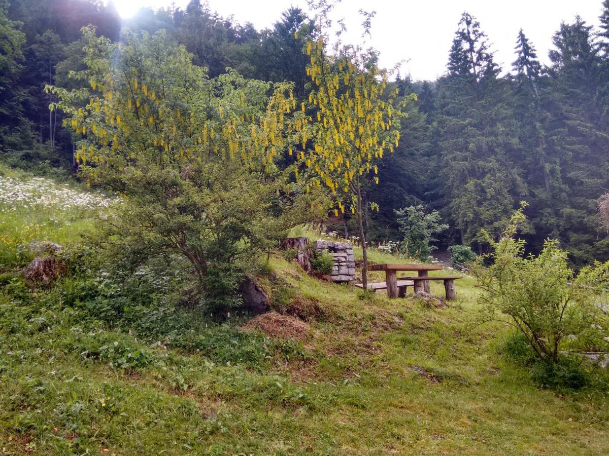 Agritur Manoncin Villa Daone Buitenkant foto