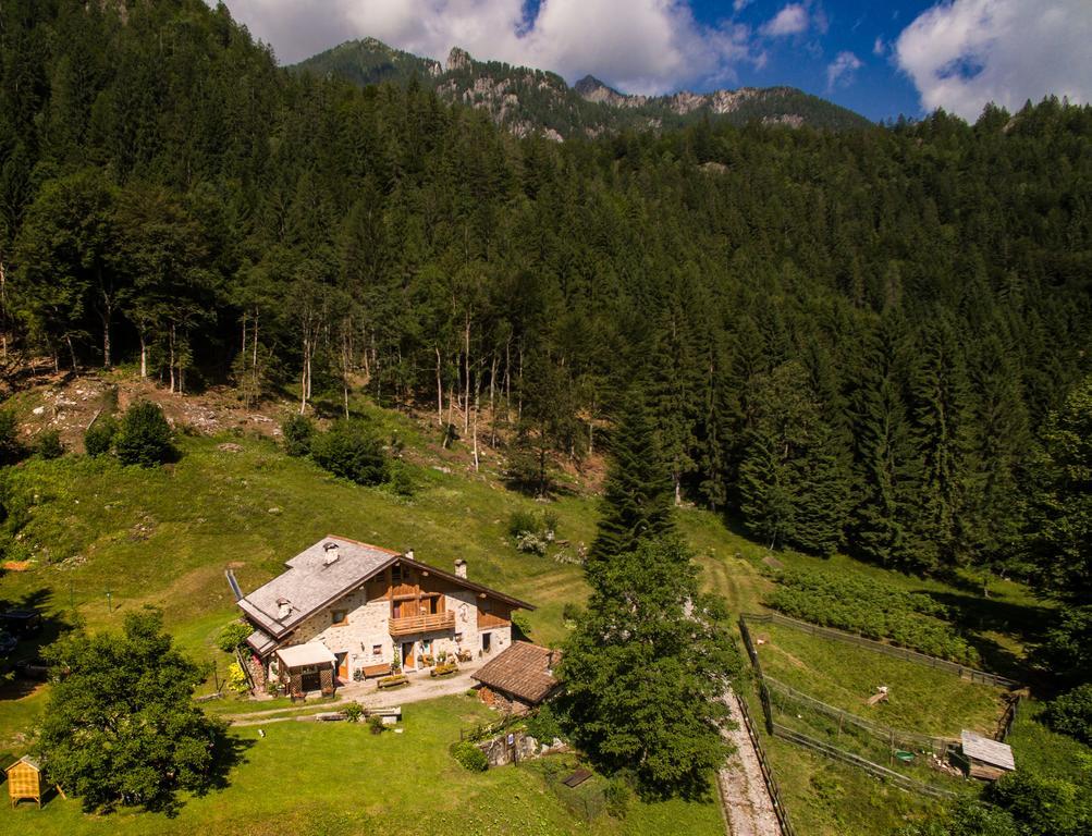 Agritur Manoncin Villa Daone Buitenkant foto
