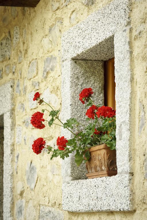 Agritur Manoncin Villa Daone Buitenkant foto