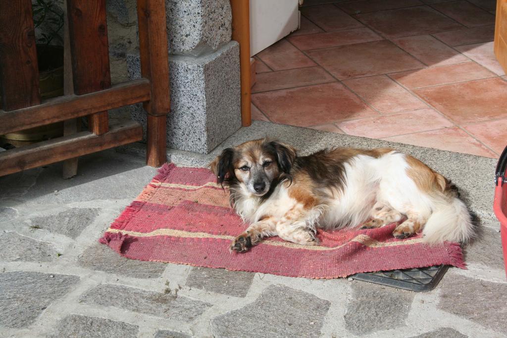 Agritur Manoncin Villa Daone Buitenkant foto