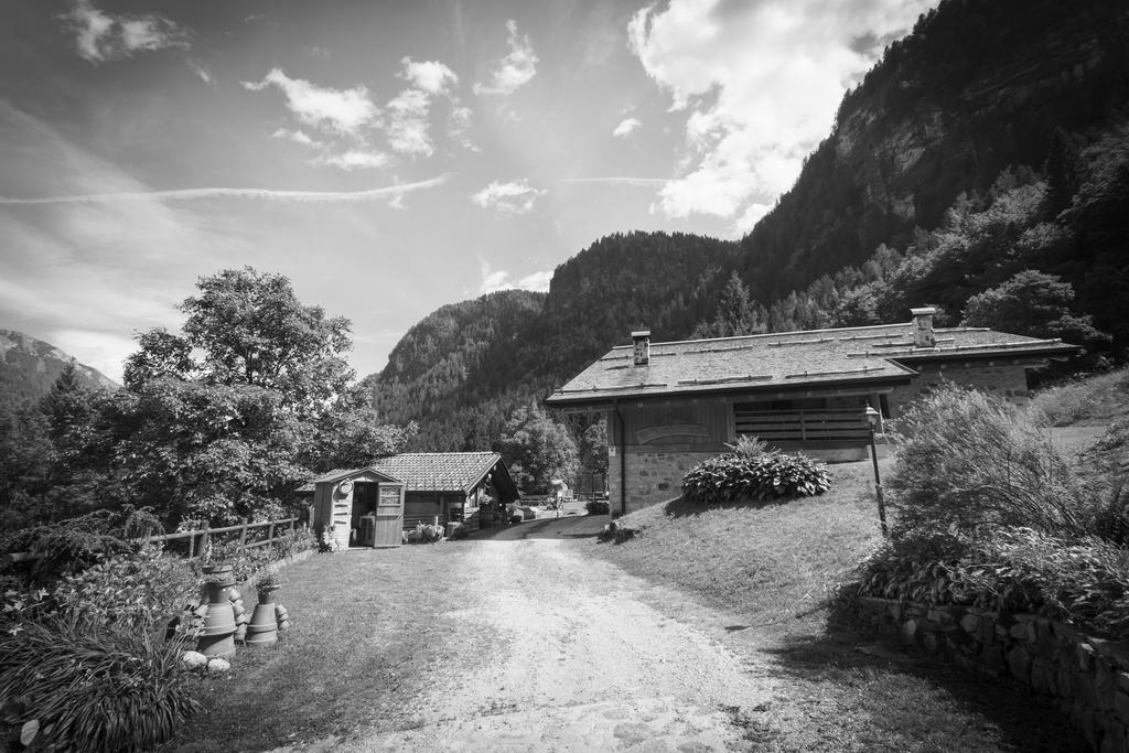Agritur Manoncin Villa Daone Buitenkant foto